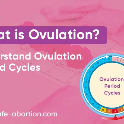 Ovulation: What Is It? Recognize the cycles of ovulation - your-safe-abortion.com