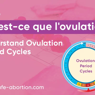 L'ovulation : Qu'est-ce que c'est ? Reconnaître les cycles d'ovulation - your-safe-abortion.com
